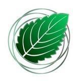 Mintado Finance Announcement