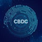 Central Bank Digital Currency