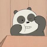عالم بانداا🐼💛....