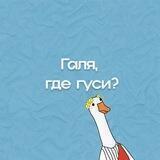 Галя, где гуси?