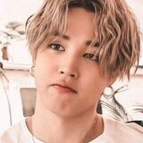 K-POP Profile