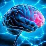 🔷️ MindFlow 🔷️