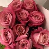 فـتـاة الـمـيـزان ⚖️🍁