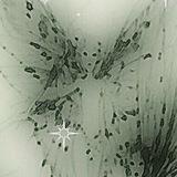 ❥ 𝐅airy 𝐇ouse :: KLUS SKRG