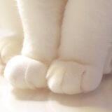 ୨ @oumiaw ୧ detail!