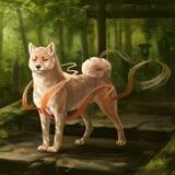 Shiba Inu Dragon