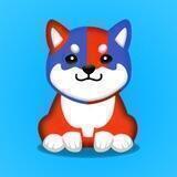 Brave Doge - KYC by SolidProof - UNICRYPT ILO