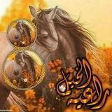 •!¦[•( راعية الخيل )•]¦!•.