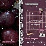 ⓘ ׄ ₊ enver — garden .. 撻摳 ִ ׄ ೨
