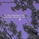 Терпение | Sabr🖇🦋 | Расмий