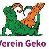 Verein Geko - Leben geht auch anders