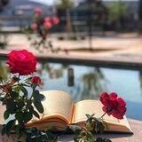 𝐋𝐈𝐆𝐇𝐓 𝐎𝐅 𝐈𝐒𝐋𝐀𝐌 ♥".