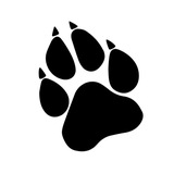 COPYPAWSTA🐾