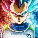 VEGETA INU
