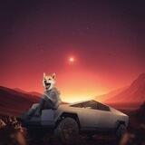 Elon&Shiba Portal