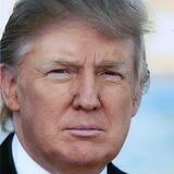 Reply to Donald J. Trump