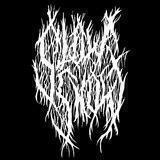 SlowSnowrecords