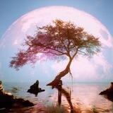Beautiful world