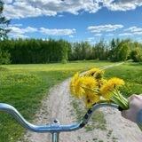 Понаехали на Кубань 193