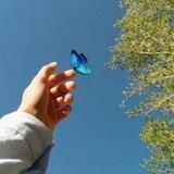 🦋پەروانە🦋