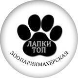 Лапки Топ Стрижка Собак и Кошек Ивантеевка