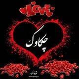 چکاوک