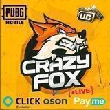 CRAZYFOX UC NARXLARI