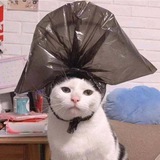 чтобы что