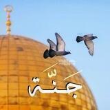 الجنة ")
