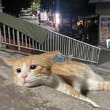 相亲相爱一家人