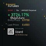 Vip result Lizard