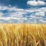 Портал Україна 🇺🇦