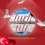 TURK TILI | TYS/MILLIY