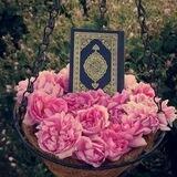 حلقتي جنتي(لحلقات التحفيظ)