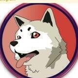ShillBrownDoge😜