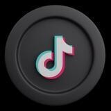 TikTok Token Portal