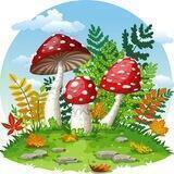 Грибная поляна 🍄