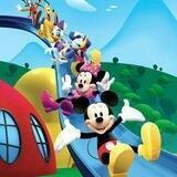 PATNER MICKEY PROMOTE