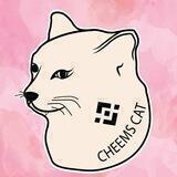Cheems Cat *The Official*