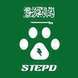 StepD ARABIA Community