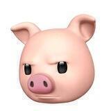 猪猪机场🚀🚀免流 VPN V2ray 🐷