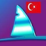 SharkRace - Türkiye