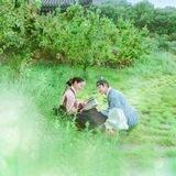 Ongoing Kdramas (Eng Sub)