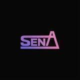 🦄 SENA DAO