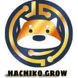HACHIKO GROW 💹