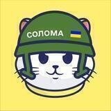 Солом’янські котики! 🇺🇦