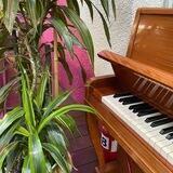 создаю для души 🎵
