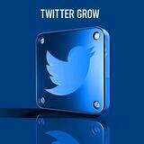TWITTER GROW BSC PORTAL