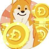 Doge Classic