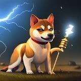⚡️ ShibaSRG